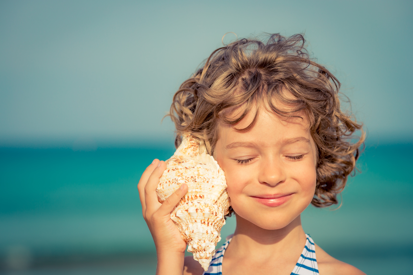 Seashells (Economy) – Sand Tray Therapy